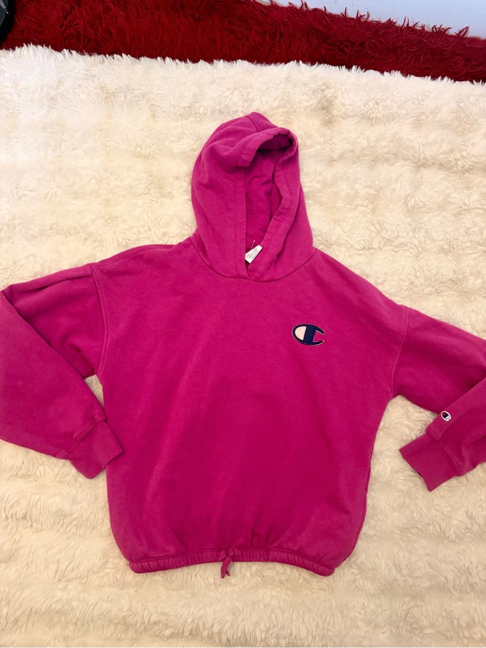 Champion Kids Fuchsia Hooded Sweatshirt